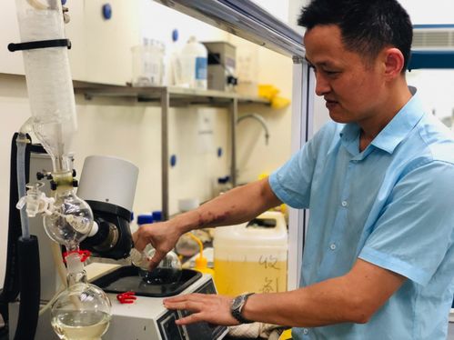 創歷史最佳 金山項目獲市級獎的背后,離不開